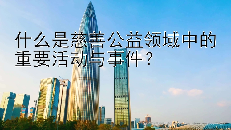 什么是慈善公益领域中的重要活动与事件？