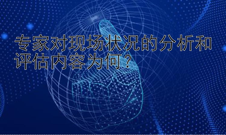 专家对现场状况的分析和评估内容为何？