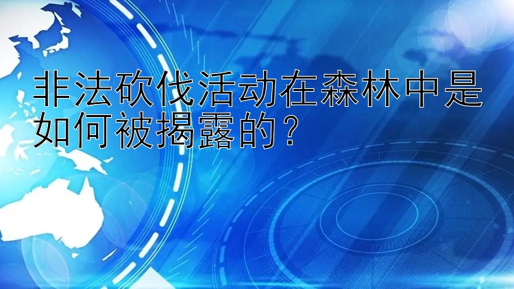 非法砍伐活动在森林中是如何被揭露的？