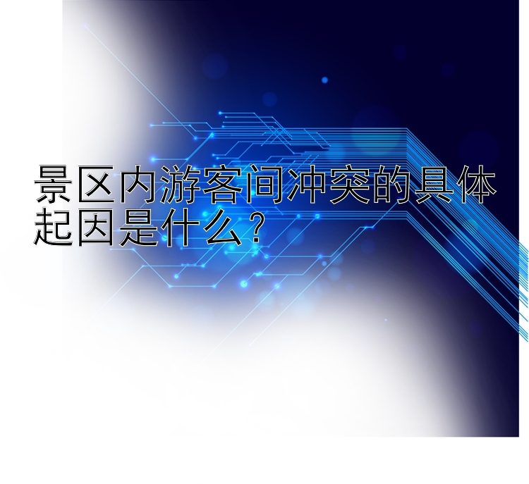 景区内游客间冲突的具体起因是什么？