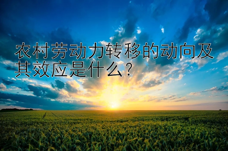 农村劳动力转移的动向及其效应是什么？