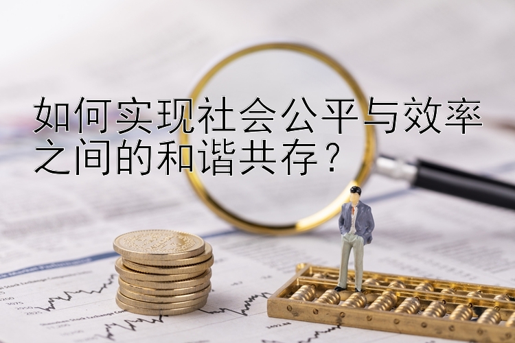 如何实现社会公平与效率之间的和谐共存？