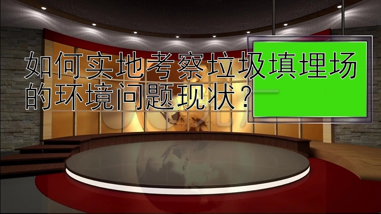 如何实地考察垃圾填埋场的环境问题现状？