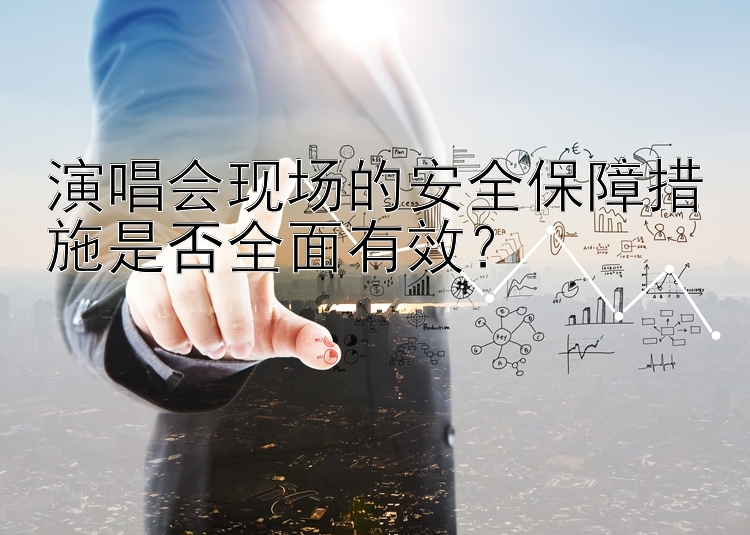 演唱会现场的安全保障措施是否全面有效？